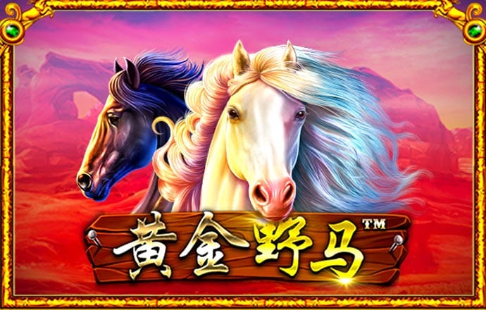 168体育app官网